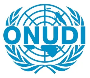lead parner Onudi_logo_light_blue